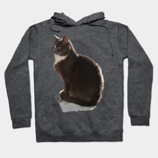 Satine Kawaii Kitty Hoodie